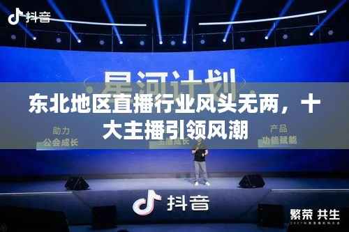 东北地区直播行业风头无两，十大主播引领风潮