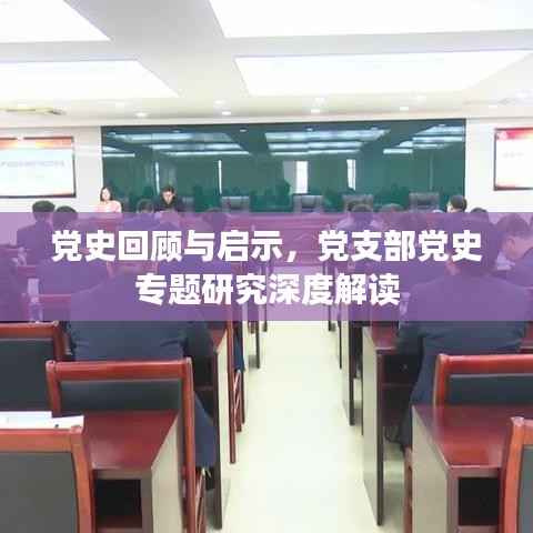 党史回顾与启示,党支部党史专题研究深度解读