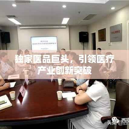 独家医品巨头，引领医疗产业创新突破