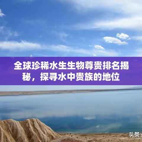 全球珍稀水生生物尊贵排名揭秘，探寻水中贵族的地位