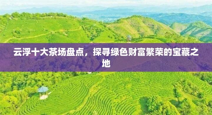 云浮十大茶场盘点，探寻绿色财富繁荣的宝藏之地