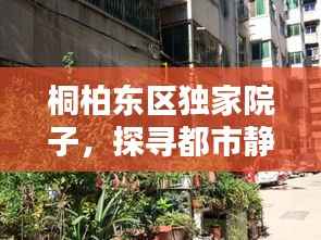 桐柏东区独家院子，探寻都市静谧生活之选