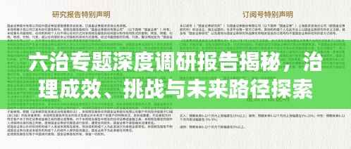 六治专题深度调研报告揭秘，治理成效、挑战与未来路径探索