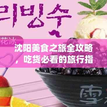 沈阳美食之旅全攻略,吃货必看的旅行指南!