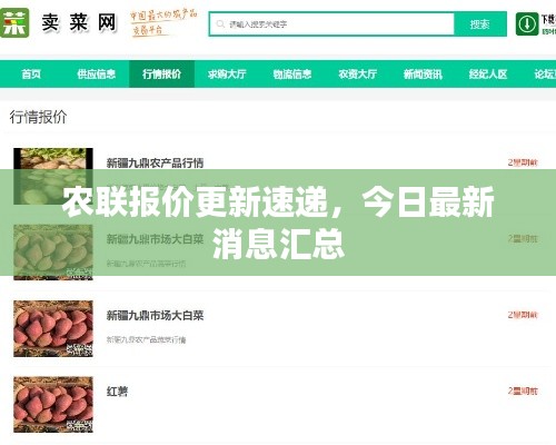 农联报价更新速递，今日最新消息汇总