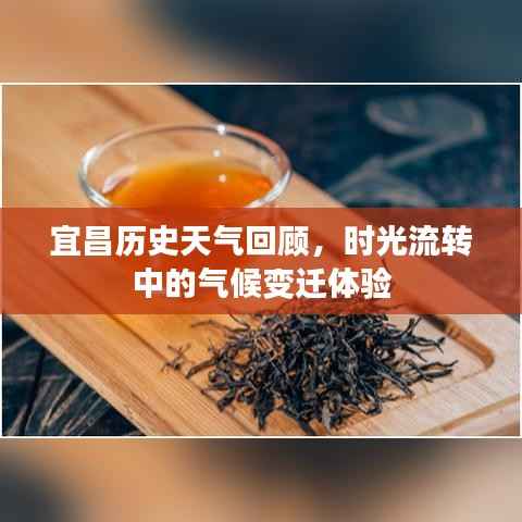 宜昌历史天气回顾，时光流转中的气候变迁体验
