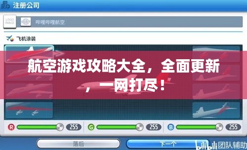 航空游戏攻略大全，全面更新，一网打尽！