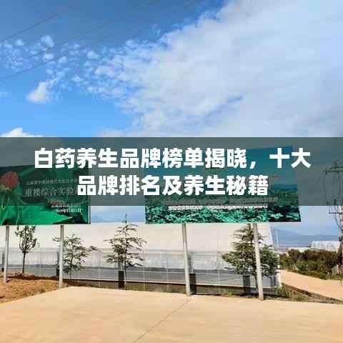 白药养生品牌榜单揭晓，十大品牌排名及养生秘籍