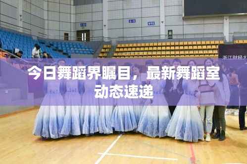 今日舞蹈界瞩目,最新舞蹈室动态速递