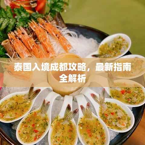 泰国入境成都攻略,最新指南全解析