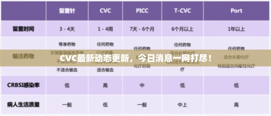 CVC最新动态更新，今日消息一网打尽！