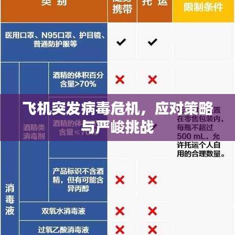 飞机突发病毒危机，应对策略与严峻挑战
