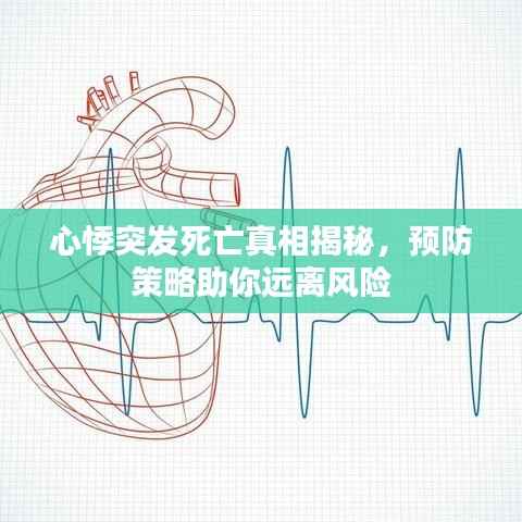 心悸突发死亡真相揭秘,预防策略助你远离风险