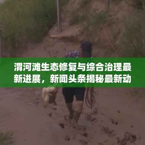 渭河滩生态修复与综合治理最新进展，新闻头条揭秘最新动态