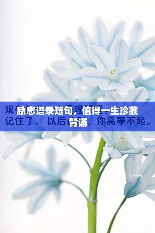 励志语录短句，值得一生珍藏背诵