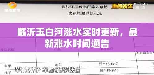 临沂玉白河涨水实时更新，最新涨水时间通告