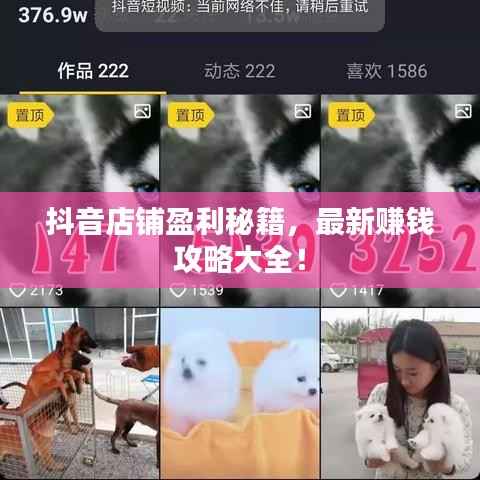 抖音店铺盈利秘籍，最新赚钱攻略大全！