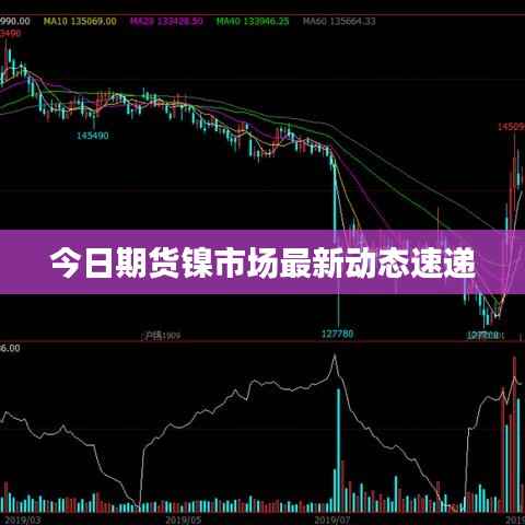今日期货镍市场最新动态速递