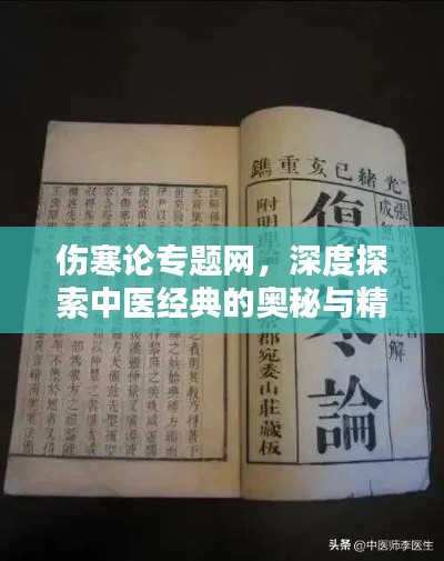伤寒论专题网，深度探索中医经典的奥秘与精髓