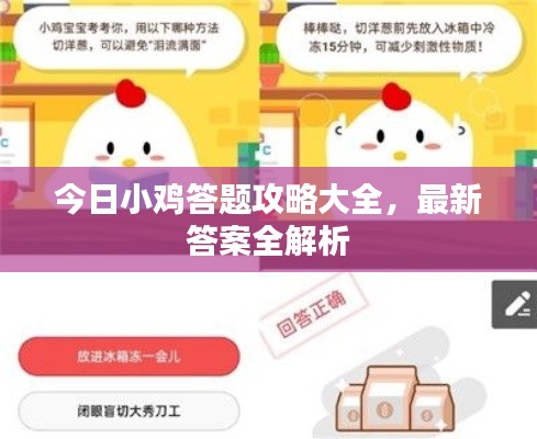 今日小鸡答题攻略大全，最新答案全解析