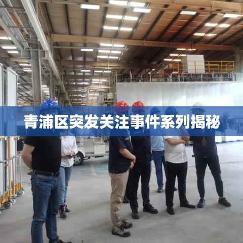 青浦区突发关注事件系列揭秘