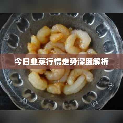 今日韭菜行情走势深度解析