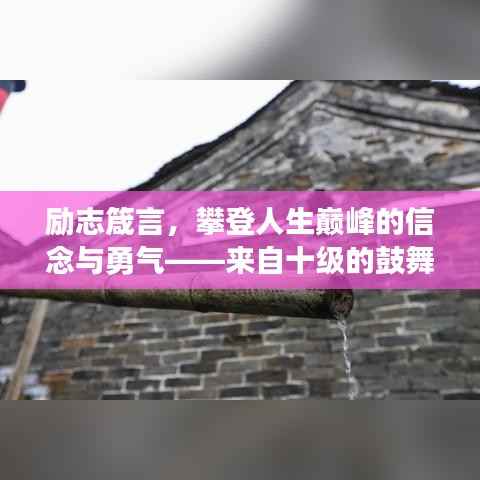 励志箴言，攀登人生巅峰的信念与勇气——来自十级的鼓舞