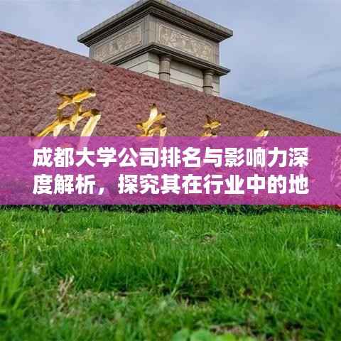 成都大学公司排名与影响力深度解析,探究其在行业中的地位与影响力