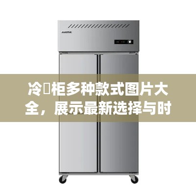 冷蔵柜多种款式图片大全，展示最新选择与时尚设计
