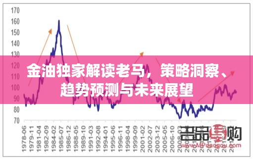 金油独家解读老马，策略洞察、趋势预测与未来展望