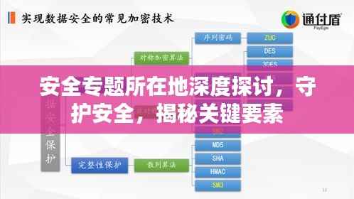 安全专题所在地深度探讨,守护安全,揭秘关键要素