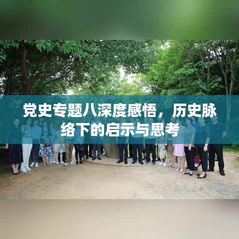 党史专题八深度感悟,历史脉络下的启示与思考