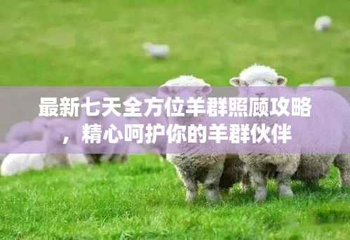 最新七天全方位羊群照顾攻略,精心呵护你的羊群伙伴