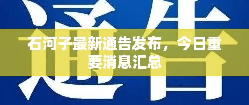 石河子最新通告发布，今日重要消息汇总