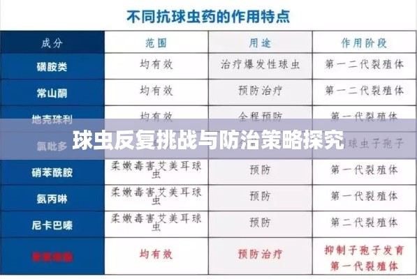 球虫反复挑战与防治策略探究