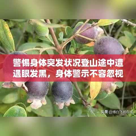 警惕身体突发状况登山途中遭遇眼发黑，身体警示不容忽视！