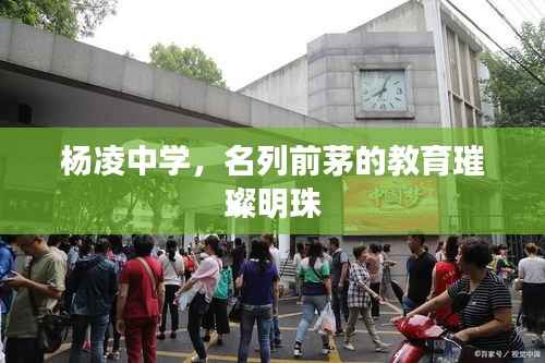 杨凌中学，名列前茅的教育璀璨明珠