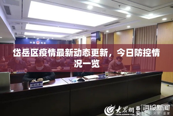 岱岳区疫情最新动态更新，今日防控情况一览