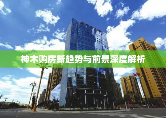 神木购房新趋势与前景深度解析