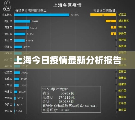 上海今日疫情最新分析报告