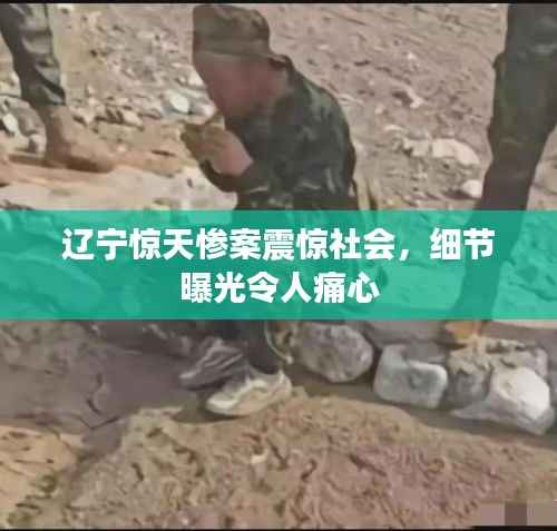 辽宁惊天惨案震惊社会，细节曝光令人痛心