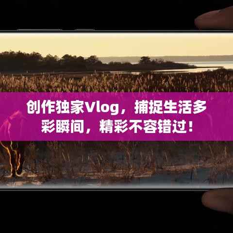 创作独家Vlog，捕捉生活多彩瞬间，精彩不容错过！