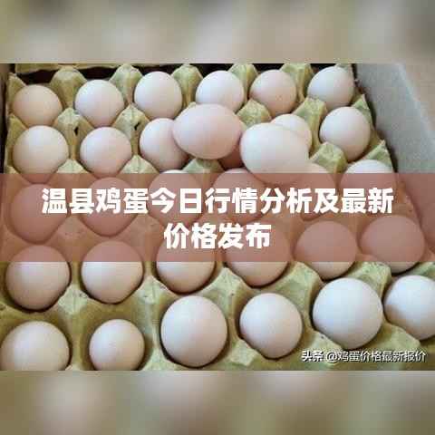 温县鸡蛋今日行情分析及最新价格发布