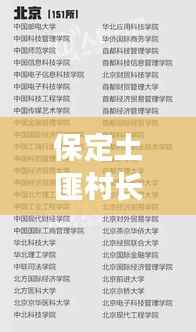 保定土匪村长名单曝光，最新照片与详细概述揭秘