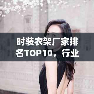 时装衣架厂家排名TOP10，行业深度洞察与解析