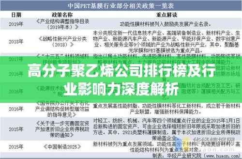 高分子聚乙烯公司排行榜及行业影响力深度解析