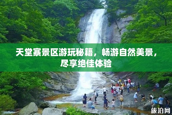 天堂寨景区游玩秘籍，畅游自然美景，尽享绝佳体验