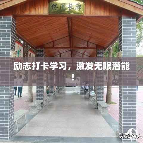 励志打卡学习,激发无限潜能!