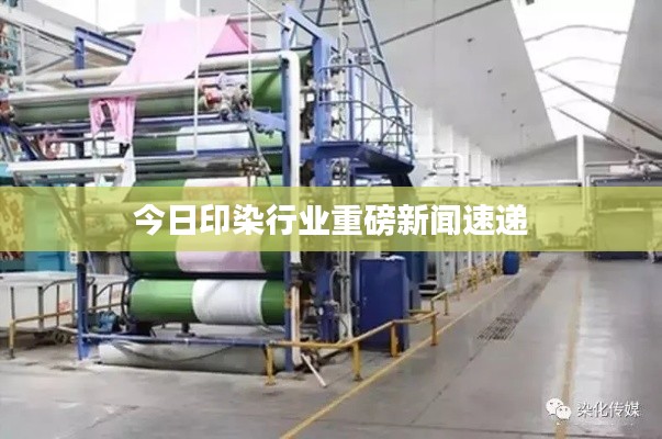 今日印染行业重磅新闻速递