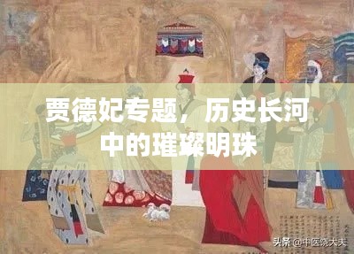 贾德妃专题,历史长河中的璀璨明珠